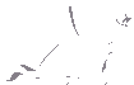 A nice kitten