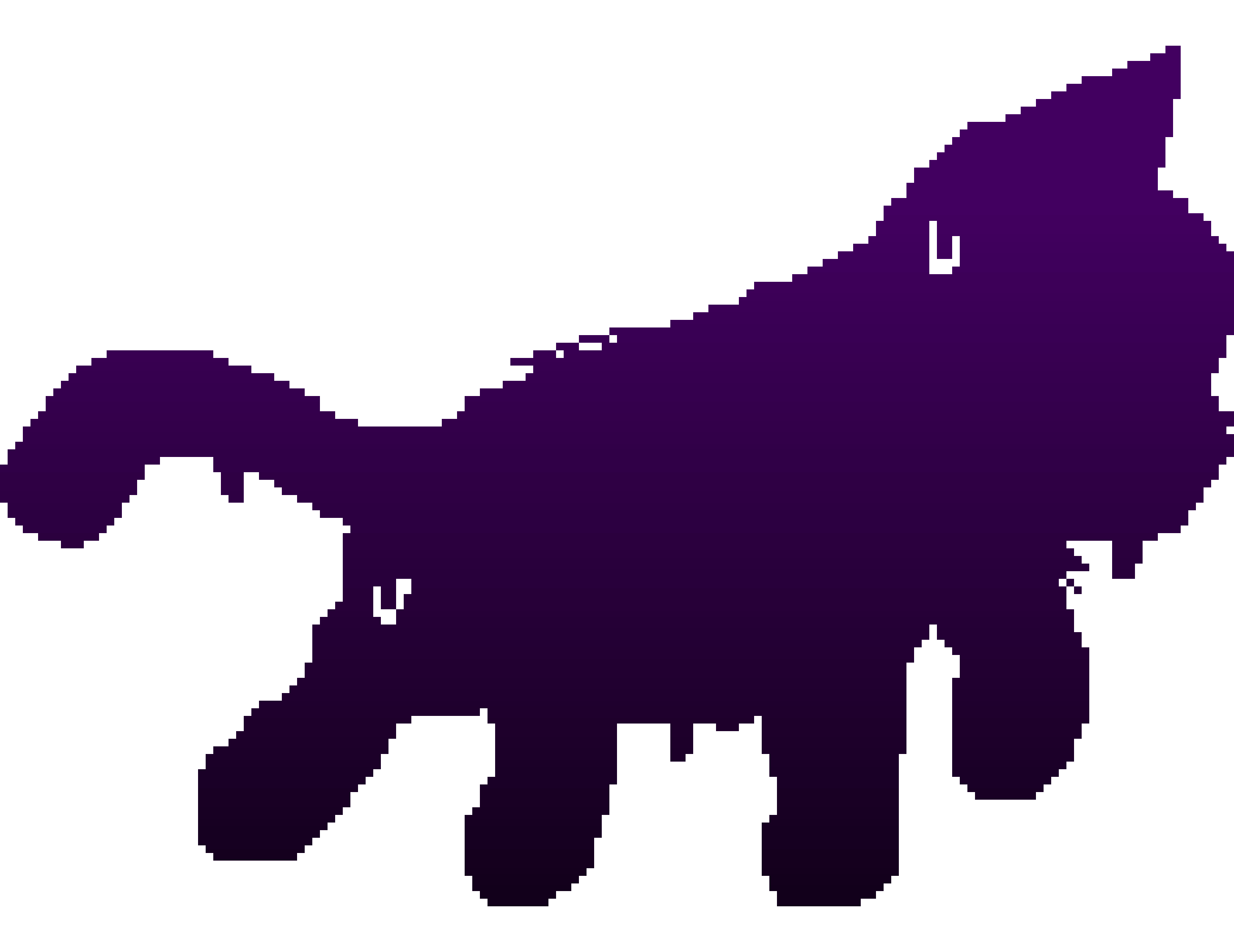 A cat